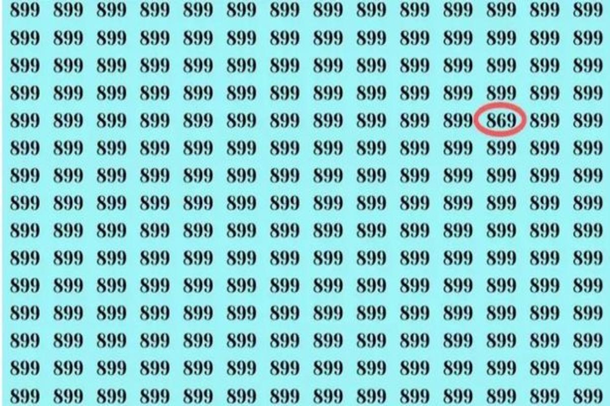 Eine Zahl ist anders als die anderen