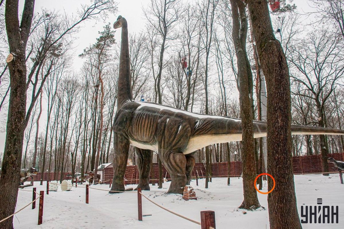 Der Hund war in der linken unteren Ecke des Bildes / Moje collage