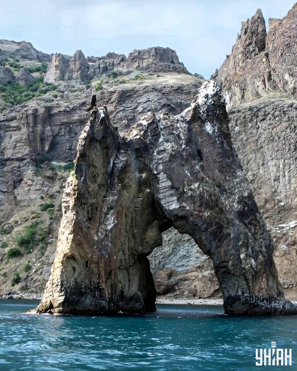 Es dauert weniger als 10 Sekunden, um den Adler im Rätselbild / in der Collage mit Moje photo zu finden.