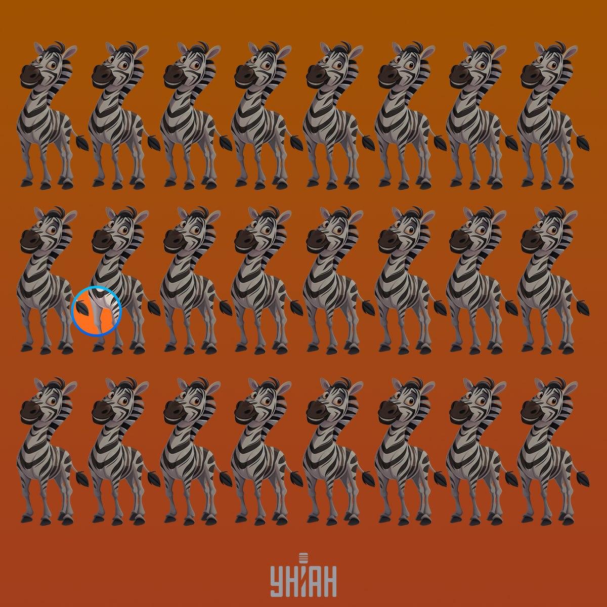 Ein seltsames Zebra war in der zweiten Reihe von oben / Moje collage