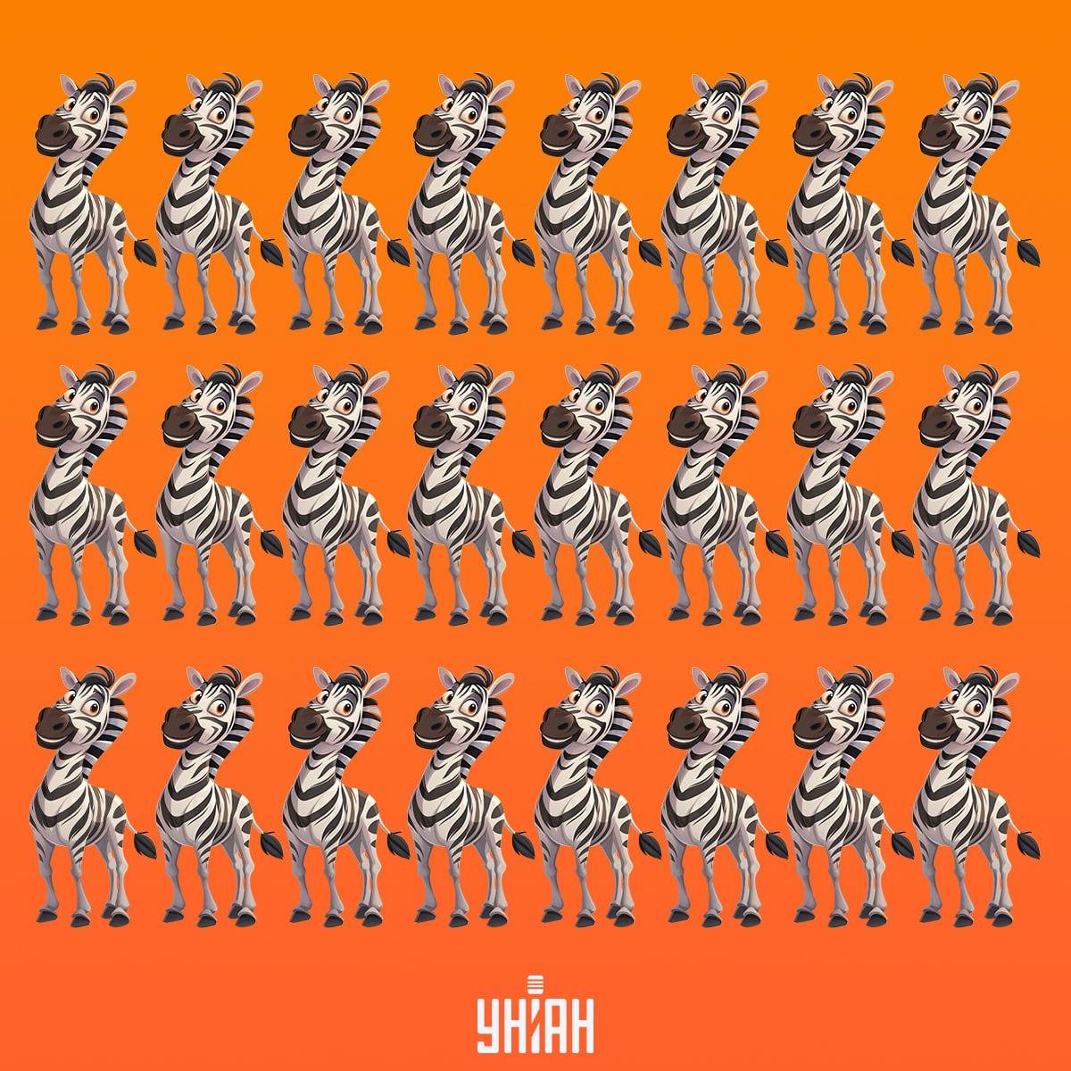 Es ist an der Zeit, ein Zebra zu finden, das nicht wie die anderen ist / Moje collage