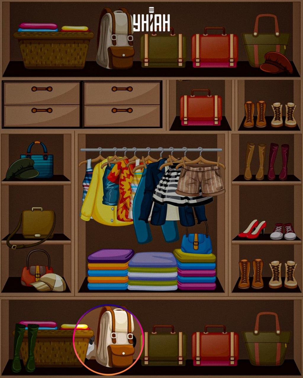 Das schlaue Tier wurde am unteren Rand des Bildes platziert / Collage Moje