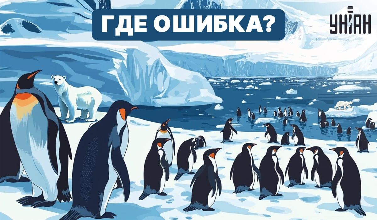 Können Sie herausfinden, was in dem Bild falsch ist? / Moje