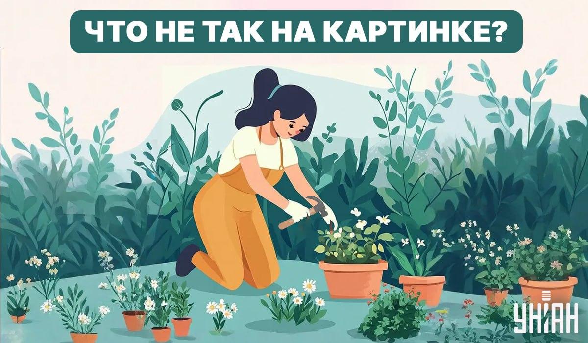 Versuche, einen Fehler zu finden / Collage - Moje