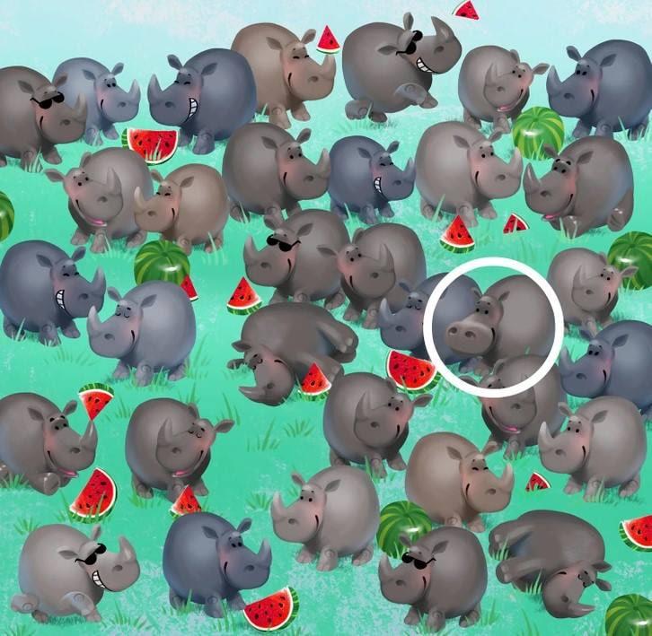 Antwort / Helle Seite