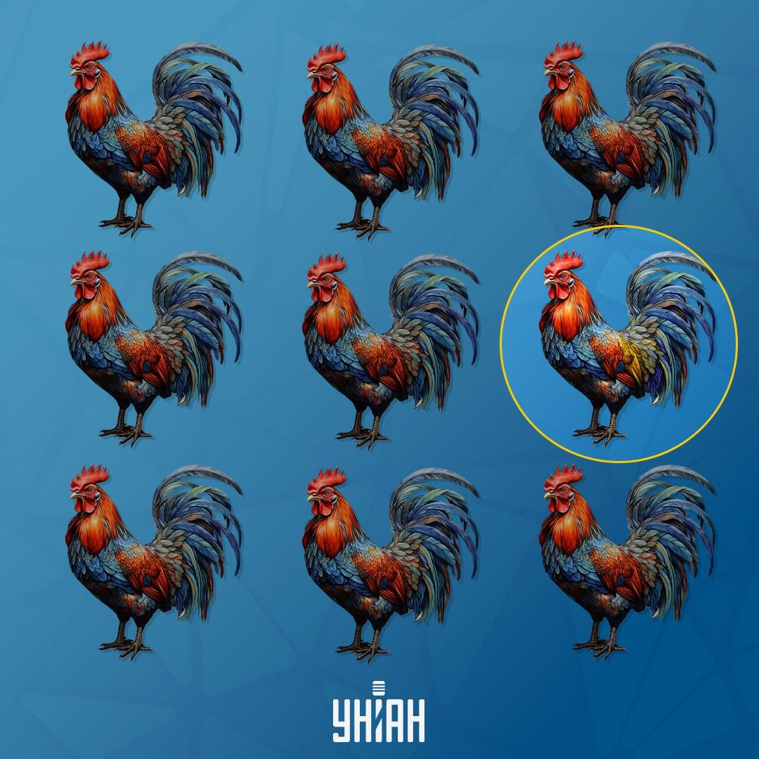 Der Hahn, der sich von den anderen unterscheidet, befand sich auf der linken Seite / Moje collage