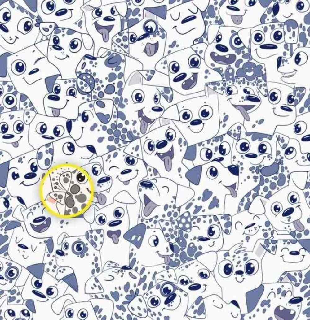 Der Schmetterling war auf der rechten Seite / Brightside-Zeichnung