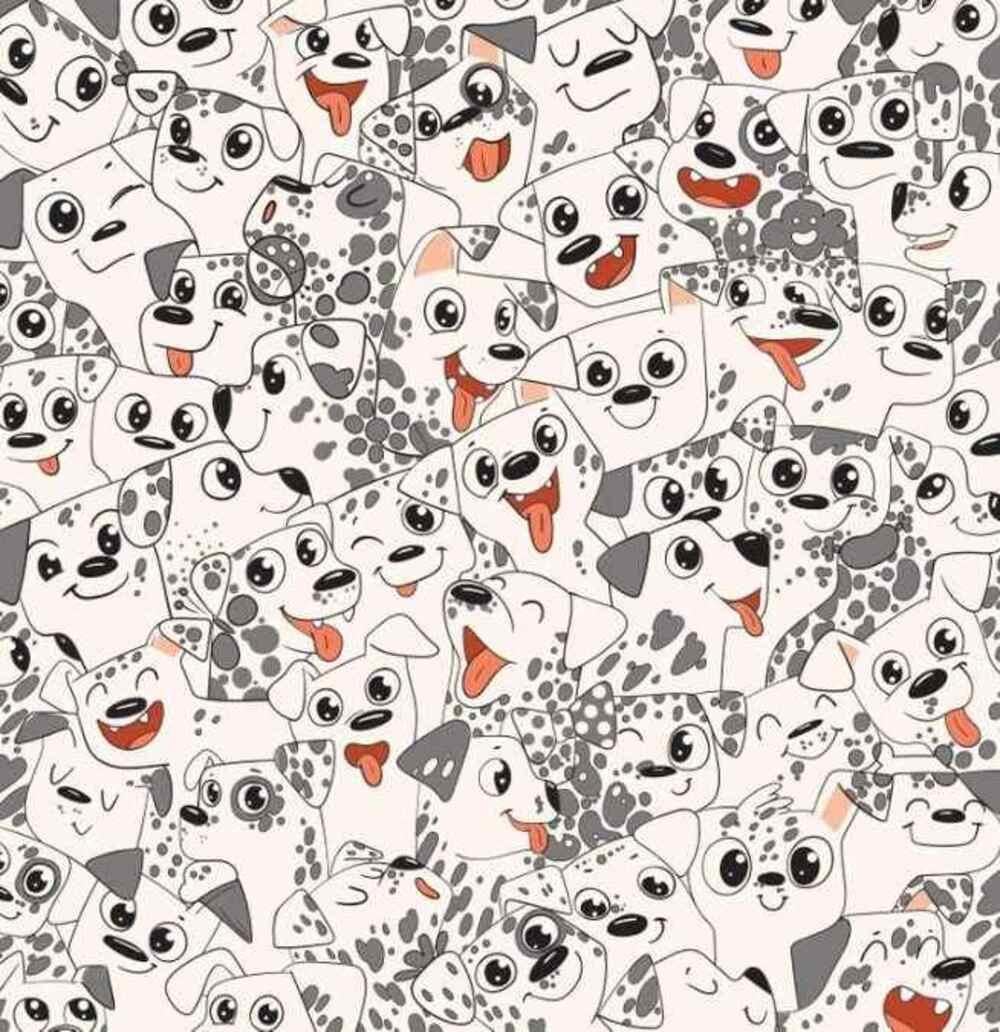 Versuche, so schnell wie möglich einen Schmetterling zu finden / Zeichnung von Brightside