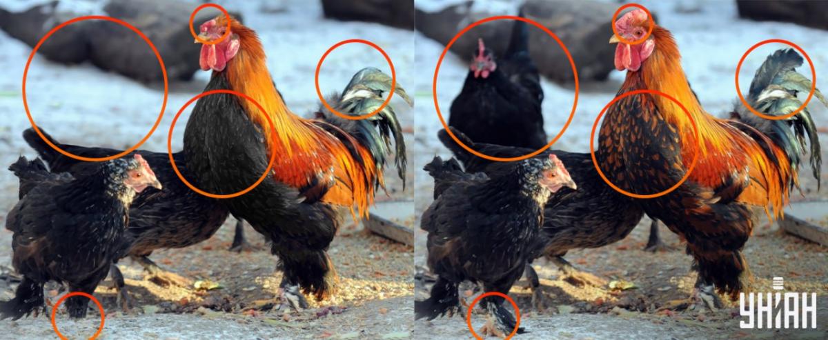 Es war notwendig, auf kleine Details zu achten / Collage Moje