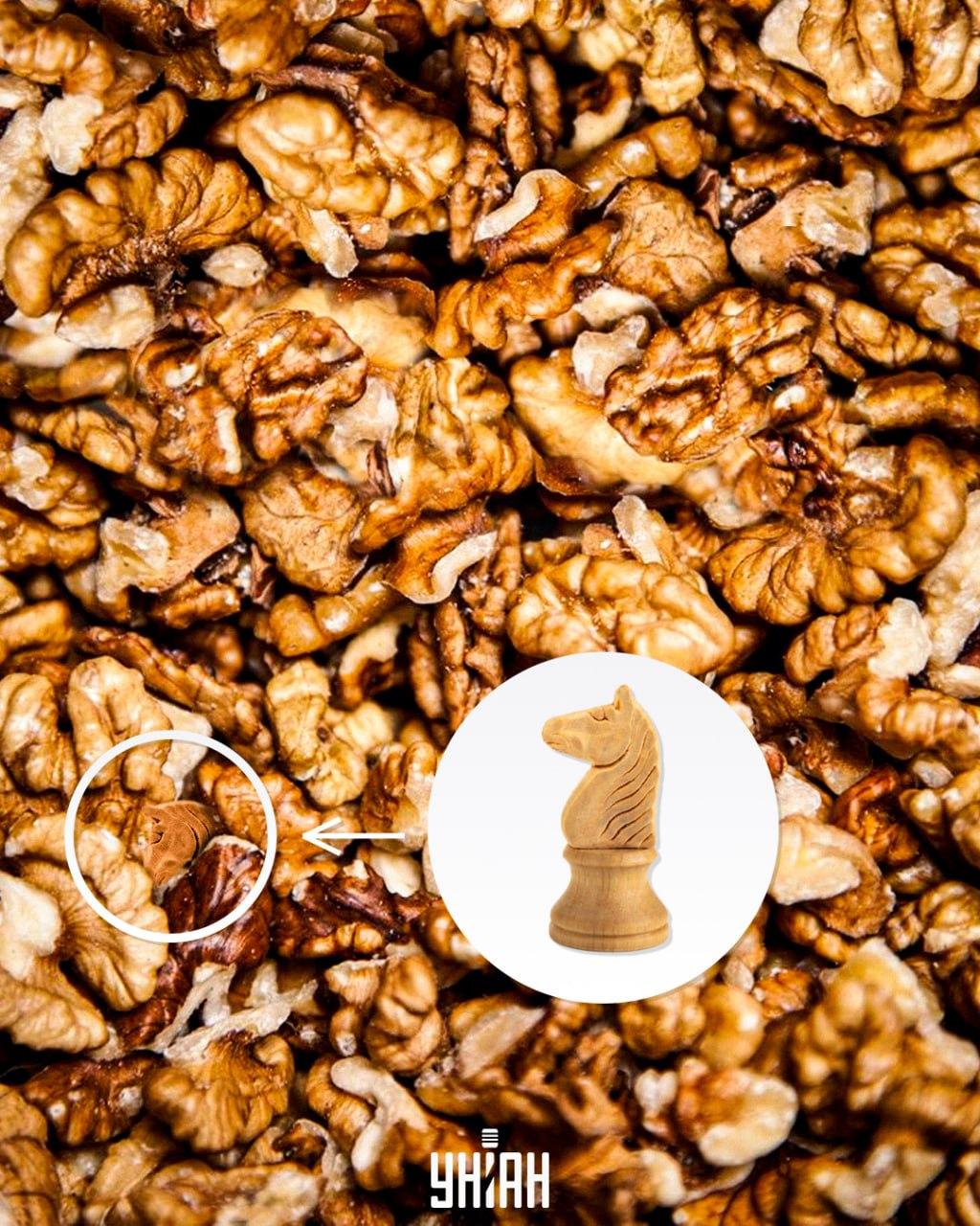 Antwort / Foto von Moje