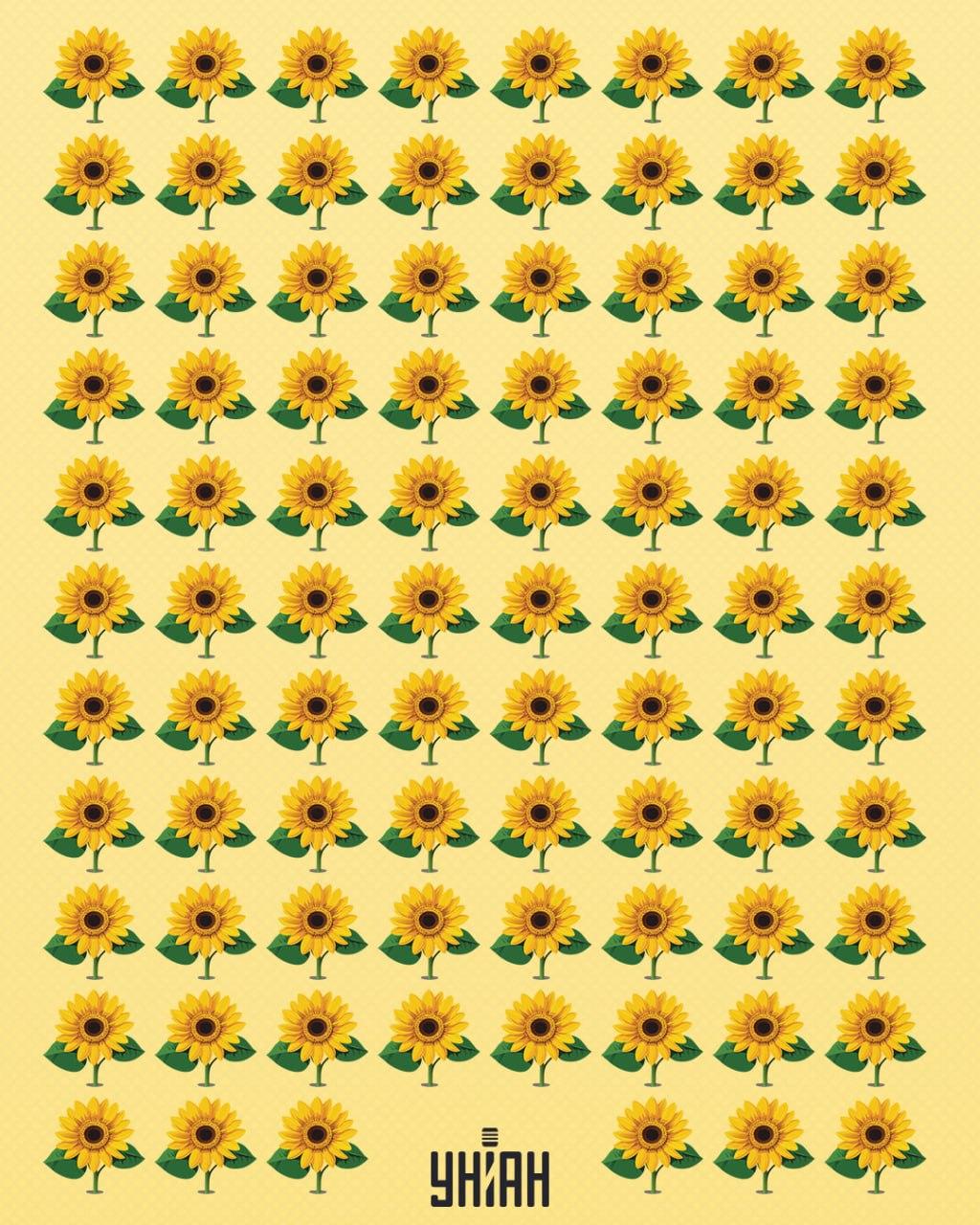 Du sollst eine Sonnenblume finden, die sich von den anderen unterscheidet / Moje collage