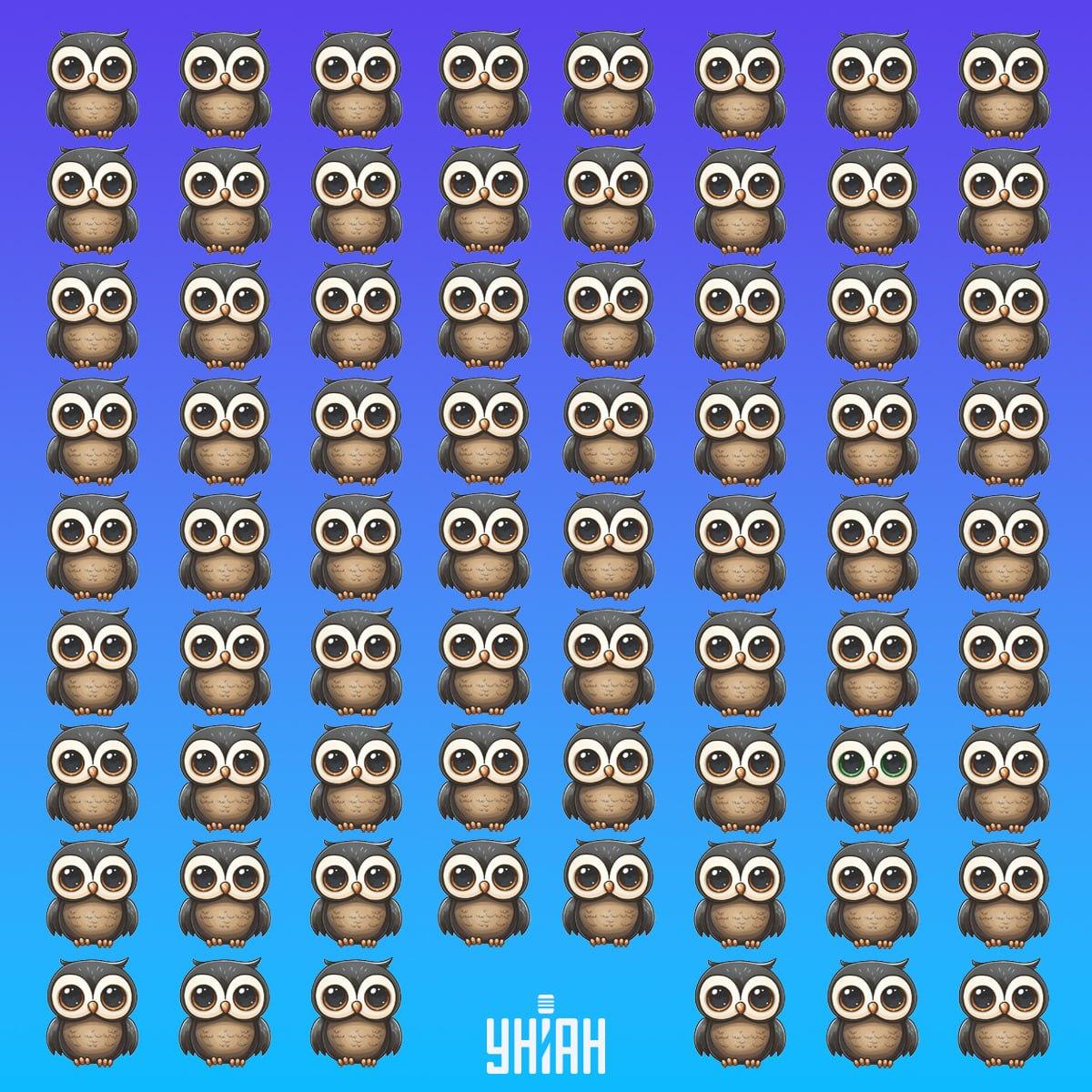 Finde einen seltenen Vogel in der Zeit / Moje collage