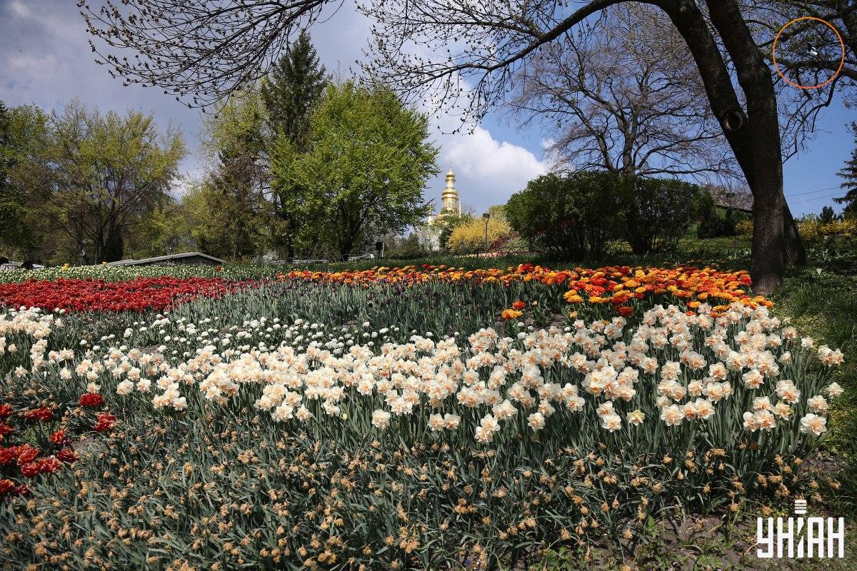 Ein Vogel sitzt auf einem Ast / Moje collage