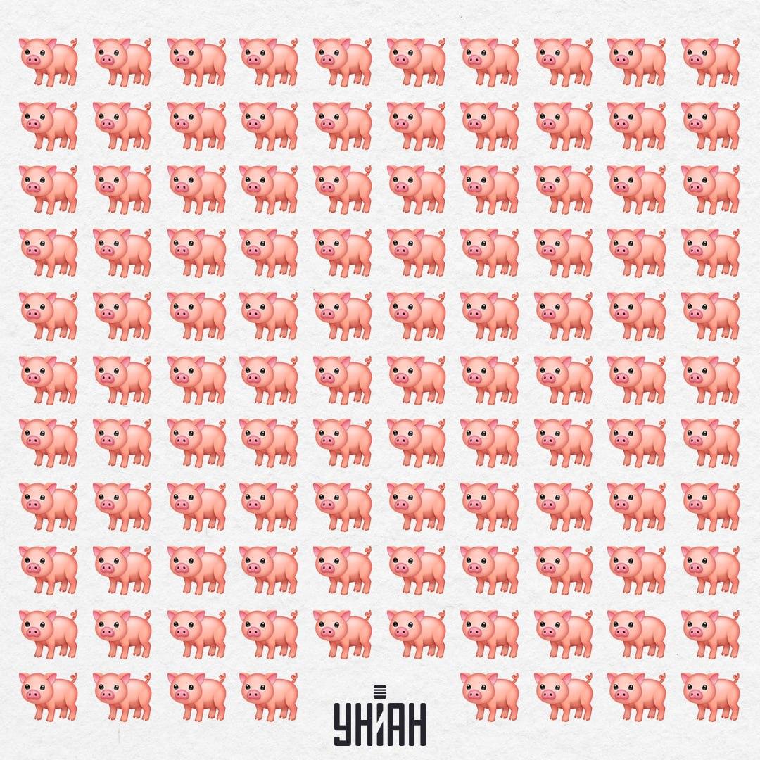 Unser Schwein ist irgendwo da draußen, es wird uns nicht so leicht ins Auge fallen / Moje Collage