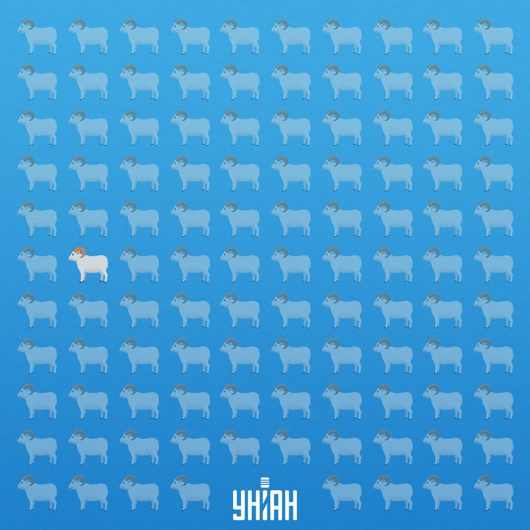 Er war in der siebten Reihe auf der linken Seite / Moje Collage