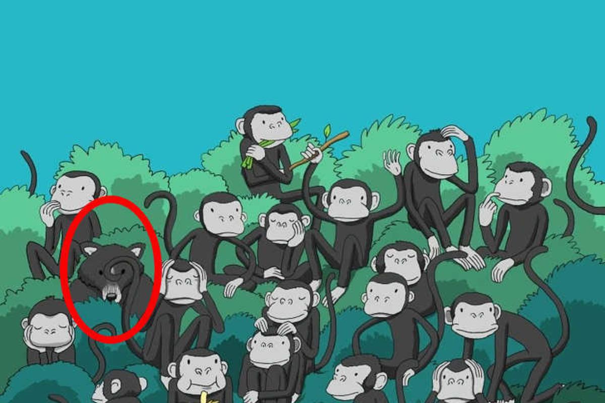 Versuche, das Rätsel in Sekundenschnelle zu lösen / Bright Side drawing