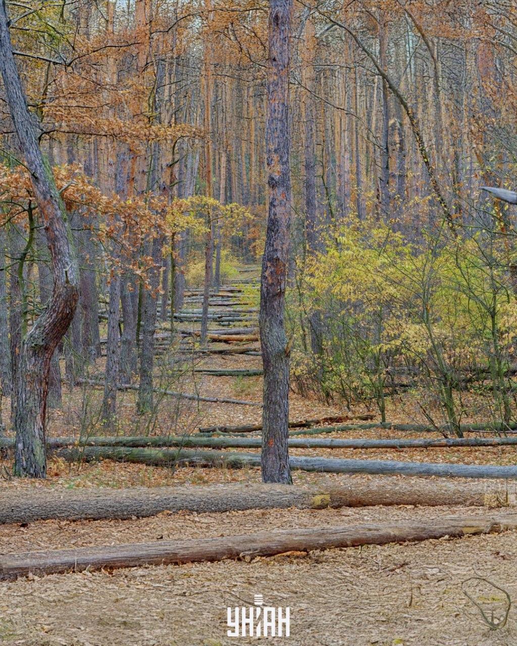 Foto von Moje, Falin Volodymyr