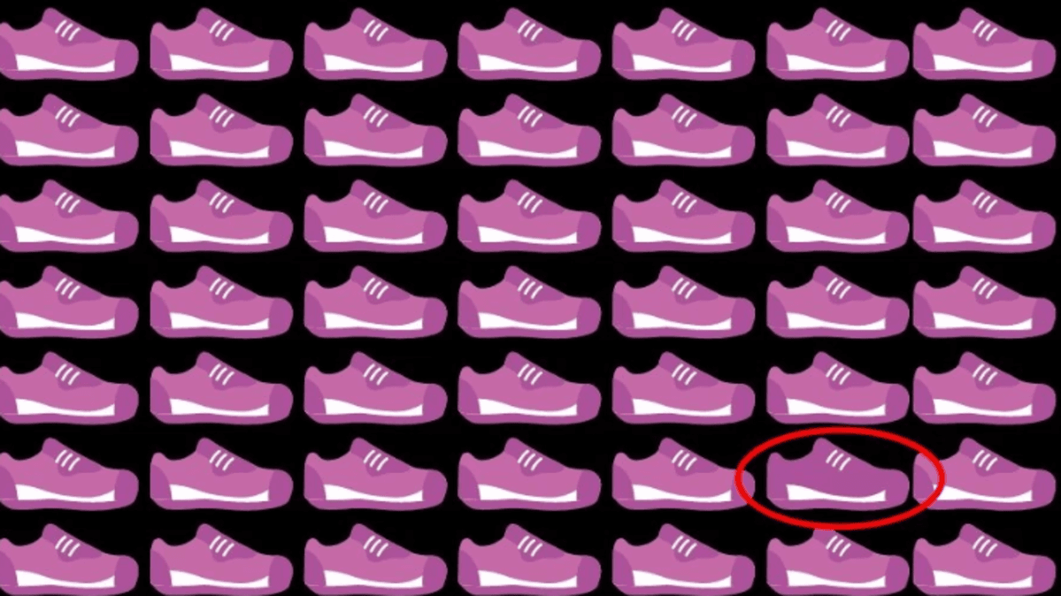 Auf dem Bild müssen Sie einen einzigartigen Schuh finden / Foto fresherslive.com