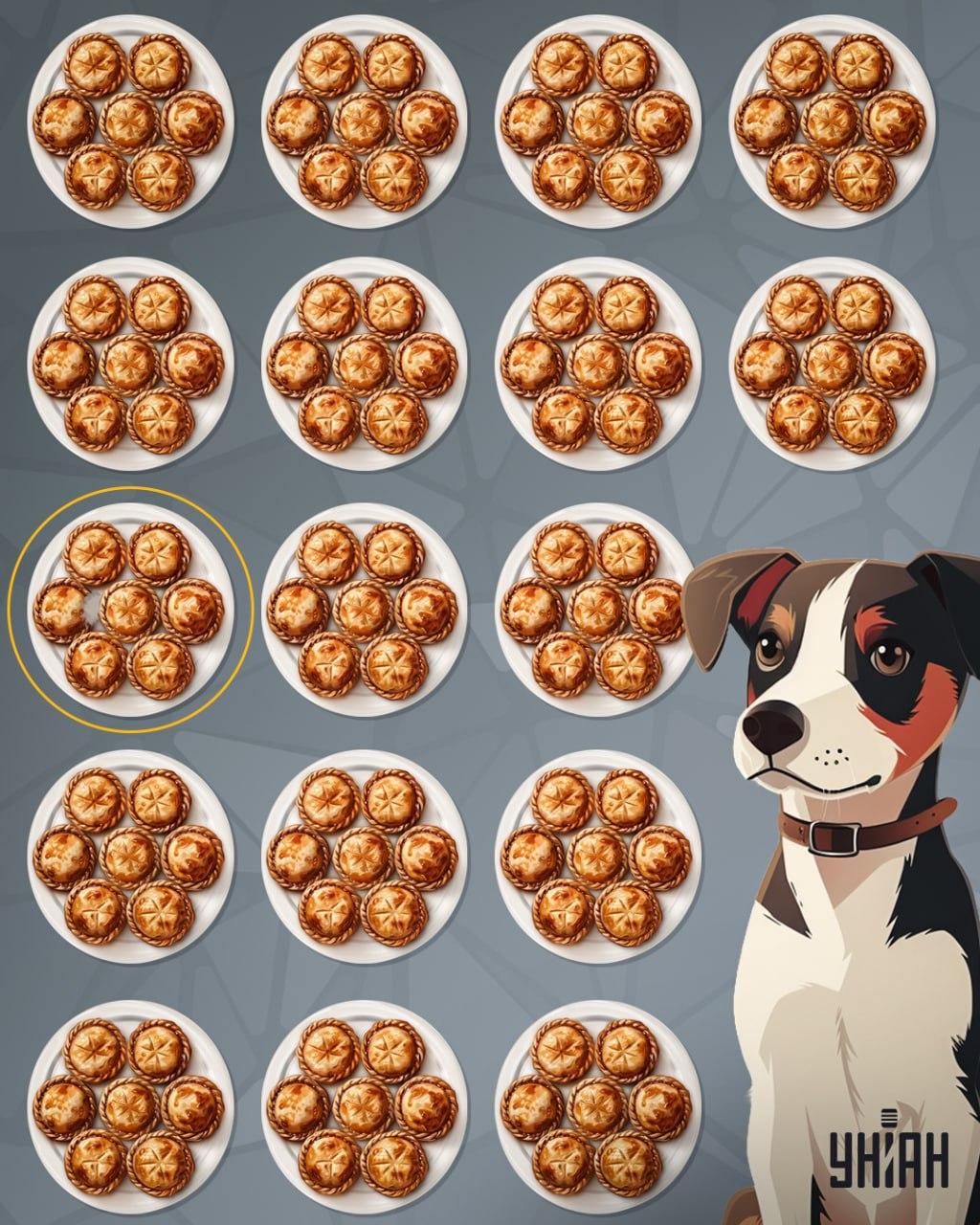 Die Torte war nicht weit von der Mitte des Puzzles entfernt / Moje collage