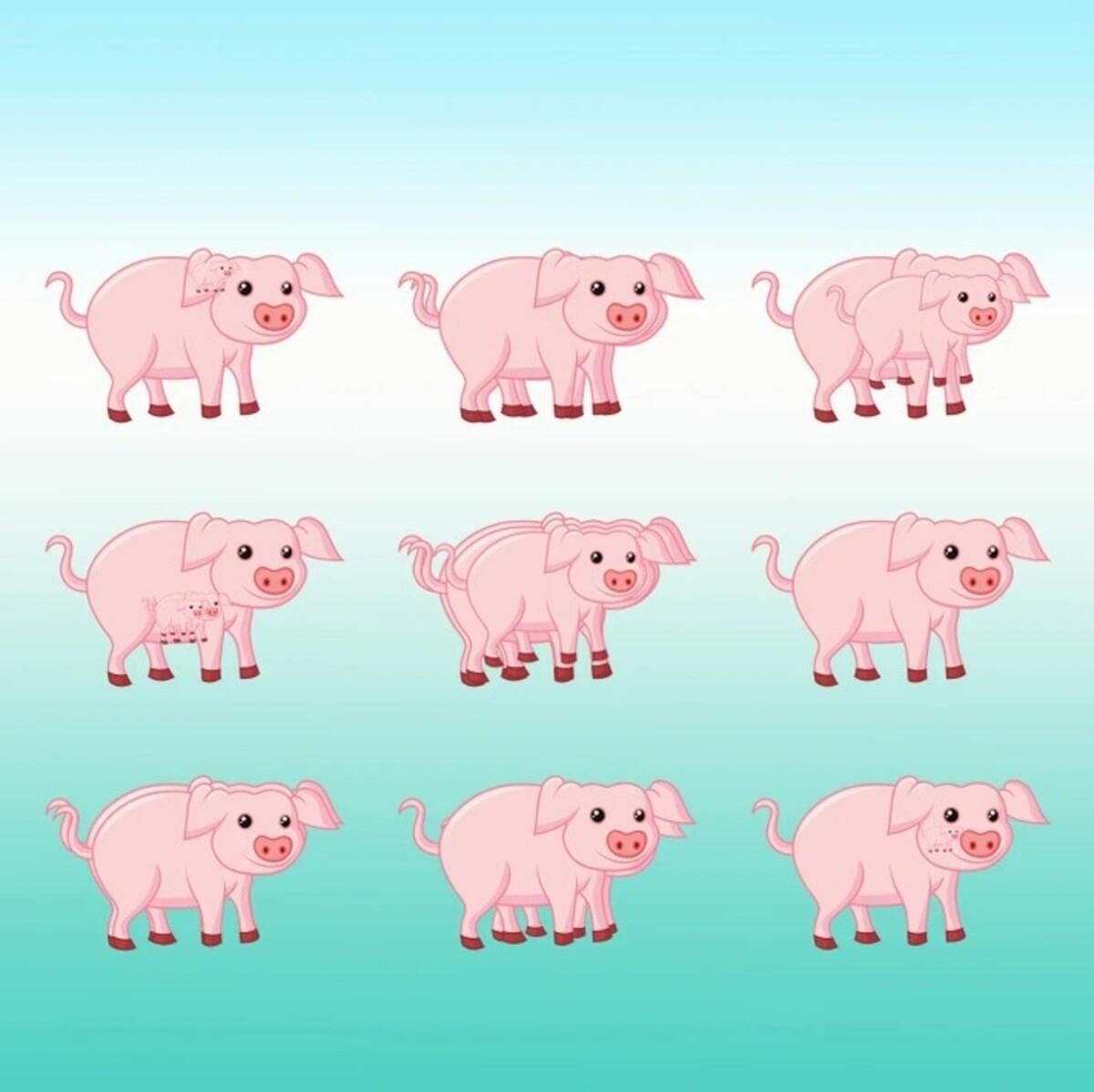 Wenn du das Rätsel schnell löst, hast du einen hohen IQ / Bright Side drawing