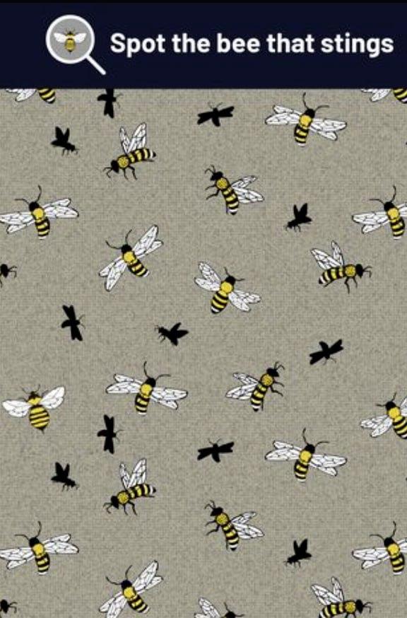 Rätsel / Make My Blinds