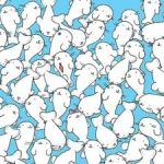 Ein Rätsel für Sehbehinderte: Finde den Marshmallow unter den Robben