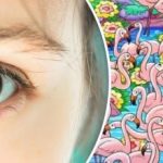 Finde das Mädchen unter den Flamingos in 8 Sekunden: Dieses