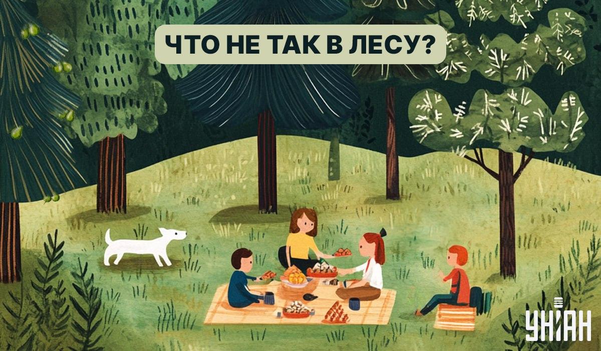 Finde einen Käfer im Wald in 5 Sekunden: ein Schnelltest zur Überprüfung des IQ