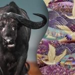 Finden Sie den Stier auf dem Bild in 15 Sekunden: