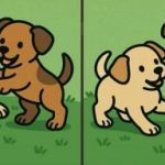 IQ-Test: Finde 3 Unterschiede in den Bildern von zwei Welpen