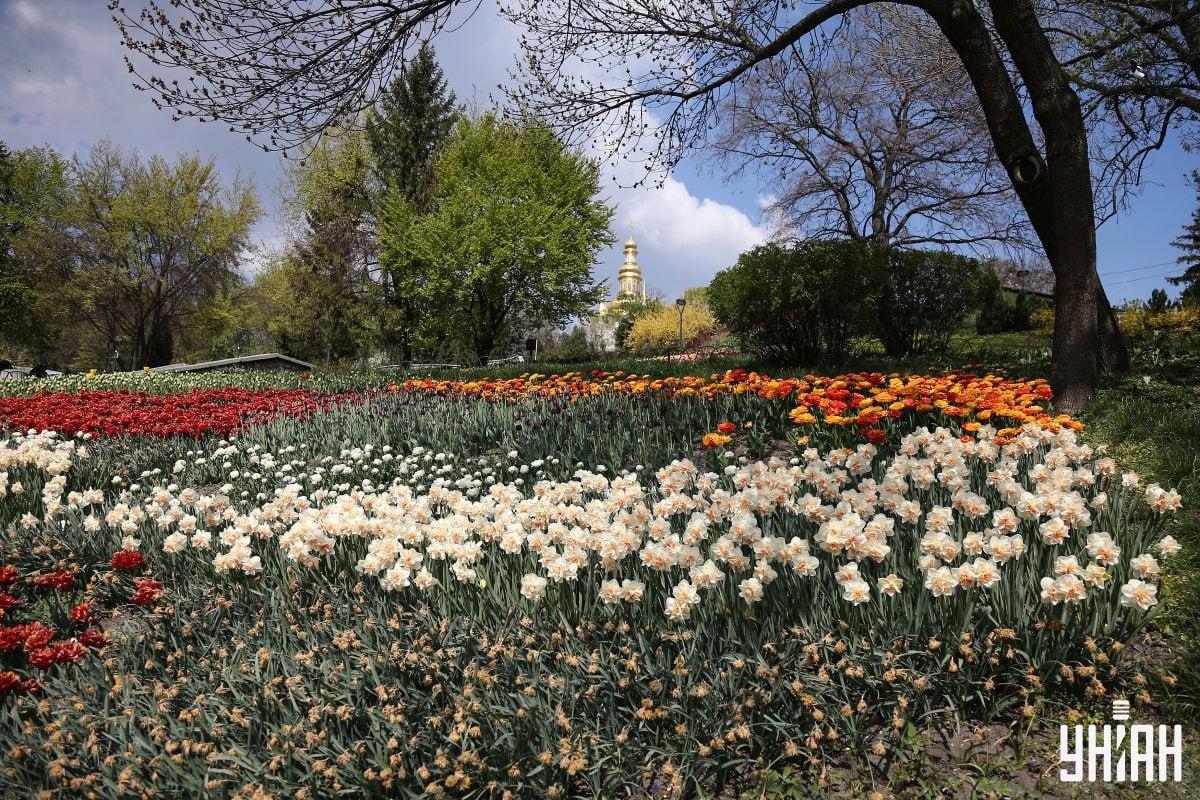 Finde den Vogel in weniger als 10 Sekunden / Collage Moje