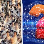 Jeder sieht Giraffen, aber du musst eine ungezähmte Ziege in