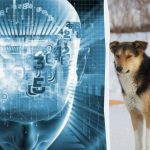 Nur 2 % der sehr klugen Menschen können dir in