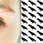 Nur 5% der Menschen finden den Papagei in dieser optischen