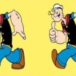 Nur die klügsten Segler werden 4 Unterschiede zwischen den beiden