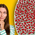 Nur die Superaufmerksamen finden die Krabbe auf dem Bild: Teste