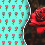 Nur ein Genie würde eine seltsame Rose in 5 Sekunden