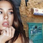 Nur ein Genie würde einen Hund auf der Straße in