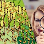 Nur Menschen mit hohem IQ finden bei dieser optischen Täuschung