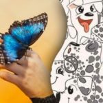 Nur wenige können das: Nur Genies können einen Schmetterling unter Hunden in 6 Sekunden finden. Nur wenige können das: Nur Genies können einen Schmetterling unter