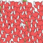 Rätsel für Adleraugen: Finde eine Kirsche ohne Wurm in 30