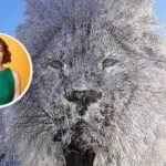 „Verschlossener“ oder „kontaktfreudiger“ Mensch: Was die optische Täuschung über Sie