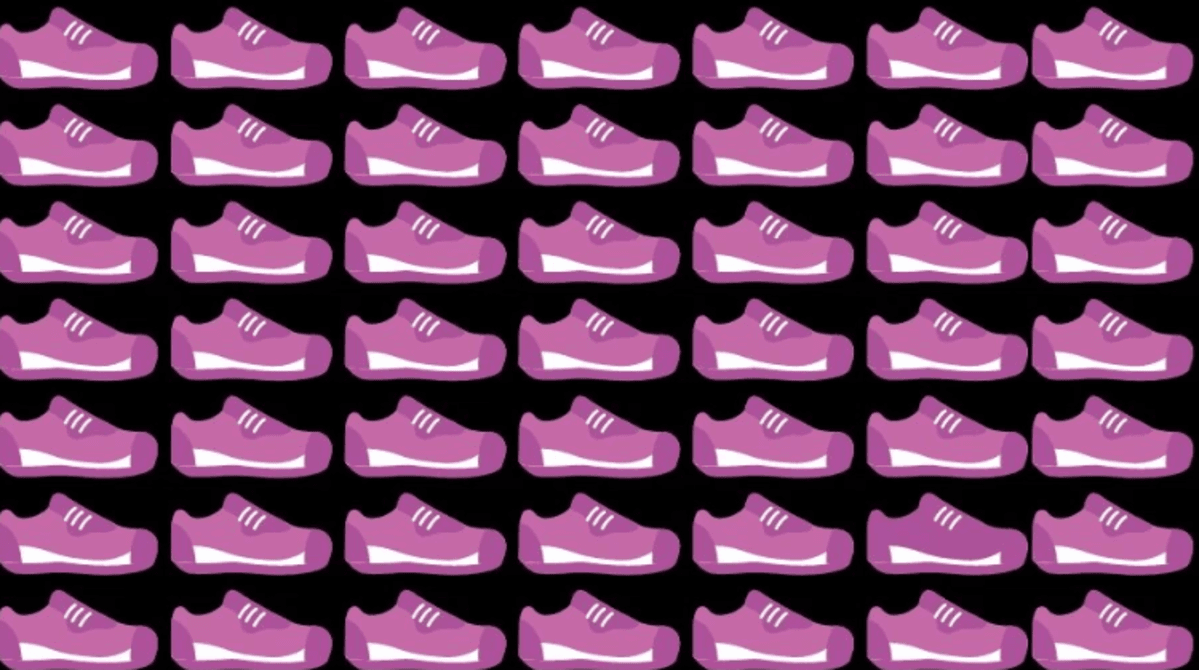 Auf dem Bild musst du einen einzigartigen Schuh finden / Foto fresherslive.com