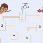 Welcher Krug füllt sich zuerst mit Wasser: ein Achtsamkeitsrätsel