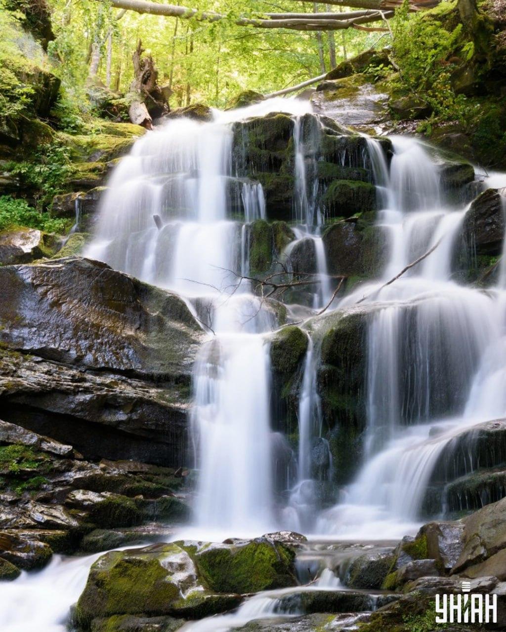 Ein Eichhörnchen auf einem kniffligen Rätsel finden / Moje-Collage