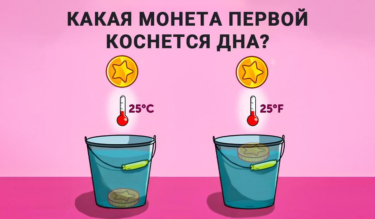 Antwort auf den IQ-Test / Collage Moje