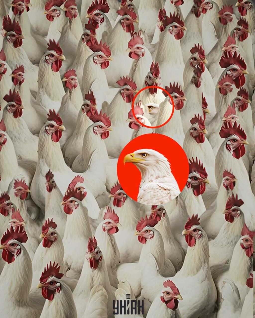 Ein Adler ist schnell gefunden, wenn man sich merkt, dass er keinen Wappenschild hat / Moje collage