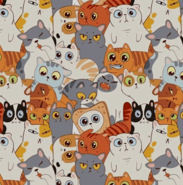 Foto der hellen Seite