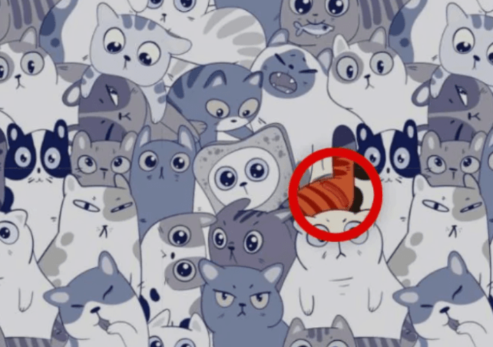 Foto der hellen Seite