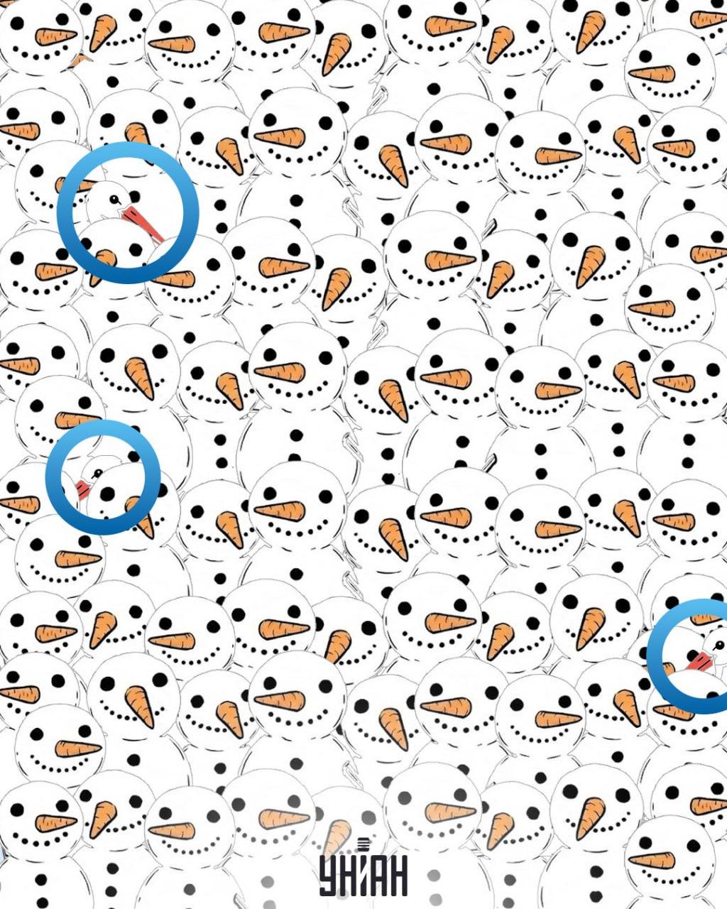 Finde 3 Störche unter Schneemännern in 11 Sekunden: erstaunliche optische Täuschung